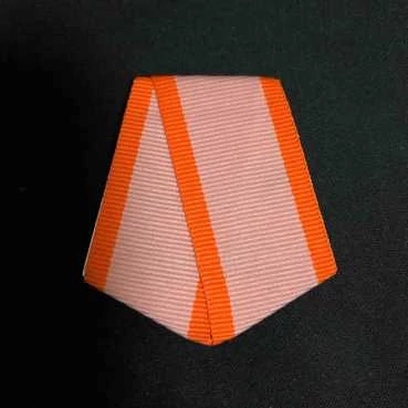 Колодка для ордена Знак Почета №19