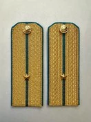 Погоны  ВДВ, ВКС, ВВС парадные золотые с фурнитурой на Китель звание Младший Лейтенант Картон