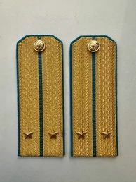 Погоны ВДВ, ВКС, ВВС парадные золотые с фурнитурой на Китель звание Лейтенант Картон