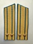 Погоны ВДВ, ВКС, ВВС парадные золотые с фурнитурой Скос на Китель звание Подполковник
