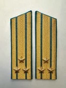 Погоны  ВДВ, ВКС, ВВС парадные золотые с фурнитурой Скос на Китель звание Полковник