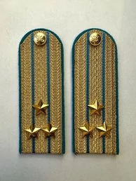 Погоны ФССП парадные золотые с фурнитурой звание Полковник Картон
