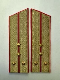 Погоны Общевойсковые парадные Капитан Скос картон цвет золотой