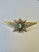 Нагрудный знак Классность Пограничной службы 3 класс