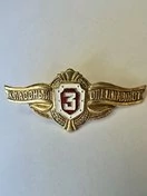 Нагрудный знак Классность Росгвардии для рядовых Классный специалист  3 класс