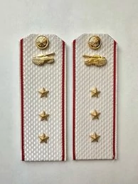 Погоны МО Танковые войска белые звание Старший Прапорщик Картон