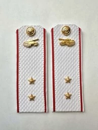 Погоны МО Танковые войска белые звание Прапорщик Картон