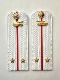 Погоны МО Танковые войска белые звание Лейтенант Картон