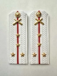 Погоны МО РВиА белые звание Капитан Картон