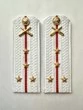 Погоны МО РВиА белые звание Капитан Картон