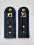 Погоны Юстиции в сборе ПЛАСТИК 14х5 см звание Прапорщик