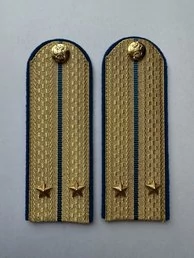 Погоны Юстиции золотые на китель Картон звание Лейтенант