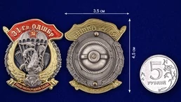 Знак "31 Гв. ОДШБр" №2851