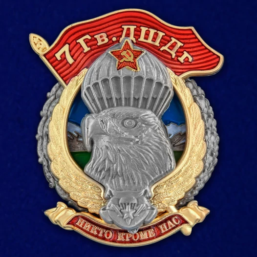 Знак "7 Гв. ДШДг" №2976