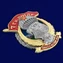 Знак "7 Гв. ДШДг" №2976