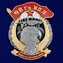 Знак "98 Гв. ВДД" №2953