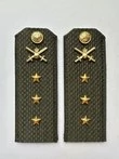 Погоны МО Сухопутные войска зеленые звание Старший Прапорщик Пластик