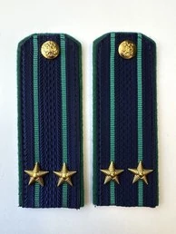 Погоны Прокуратуры на Китель темно-синие КАРТОН Звание Подполковник