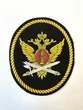 Шеврон пришивной на рукав ФСИН с орлом (учреждение УИС) пластизоль