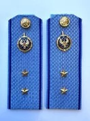 Погоны ФСБ голубые на рубашку, звание Прапорщик 14см ПЛАСТИК