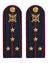 Погоны Полиции картон (в сборе) укомплектованные с фурнитурой темно-синие Капитан 15 см