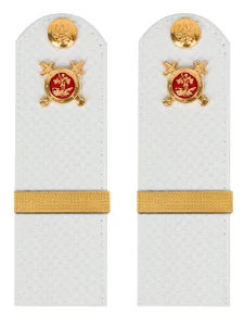 Погоны Полиции на рубашку белые КАРТОН Звание Ефрейтор 13 см