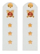 Погоны Полиции на рубашку белые КАРТОН Звание Старший Прапорщик 15 см