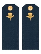 Погоны ВДВ с фурнитурой синие рядовой КАРТОН
