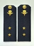 Погоны ВДВ с фурнитурой синие Прапорщик КАРТОН