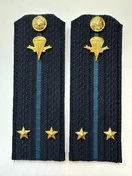 Погоны ВДВ с фурнитурой синие Лейтенант КАРТОН