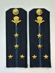 Погоны ВДВ с фурнитурой синие Капитан КАРТОН