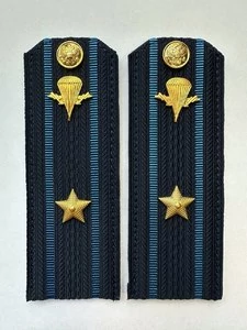Погоны ВДВ с фурнитурой синие Майор КАРТОН