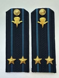 Погоны ВДВ с фурнитурой синие Подполковник КАРТОН