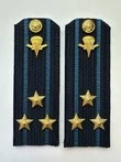 Погоны ВДВ с фурнитурой синие Полковник КАРТОН