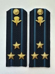 Погоны ВДВ с фурнитурой синие Полковник КАРТОН