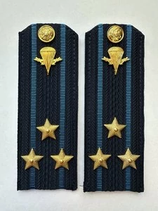 Погоны ВДВ с фурнитурой синие Полковник КАРТОН