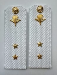 Погоны ВДВ с фурнитурой белые Прапорщик КАРТОН