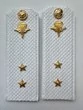 Погоны ВДВ с фурнитурой белые Прапорщик КАРТОН