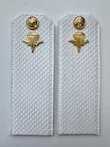 Погоны ВДВ с фурнитурой белые Рядовой КАРТОН
