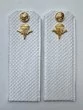 Погоны ВДВ с фурнитурой белые Рядовой КАРТОН
