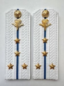 Погоны ВДВ с фурнитурой белые Капитан КАРТОН