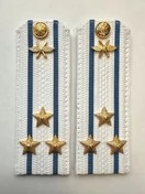 Погоны ВКС ВВС с фурнитурой белые Полковник КАРТОН