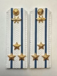 Погоны ВКС ВВС с фурнитурой белые Полковник КАРТОН