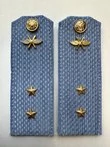 Погоны ВКС ВВС с фурнитурой голубые Прапорщик КАРТОН