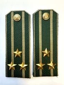 Погоны Таможенной службы на китель темно-зеленые картон звание Полковник