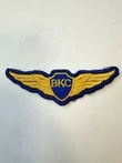 Нашивка шеврон ВКС крылья