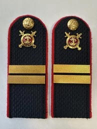 Погоны Полиции на куртку темно-синие КАРТОН Звание Младший Сержант 13 см