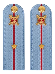 Погоны Полиции картон голубые Младший лейтенант 15 см