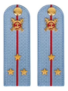 Погоны Полиции картон голубые Старший Лейтенант 15см