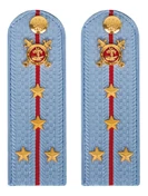 Погоны Полиции картон голубые Капитан 15см